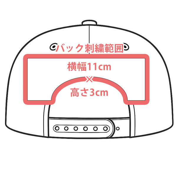 フラットバイザー、６パネル、スナップバック、バックの刺繍範囲